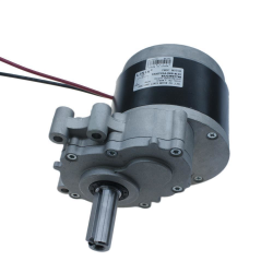 24V 82Rpm Yüksek Torklu Bisiklet Motoru - Linix