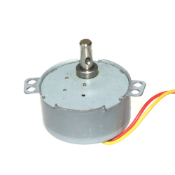 TYZ-49 10 rpm 4W AC Senkron Motor - Keskinler